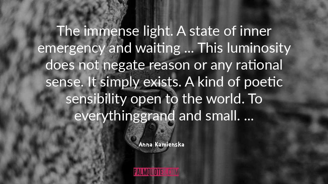 Luminosity quotes by Anna Kamienska