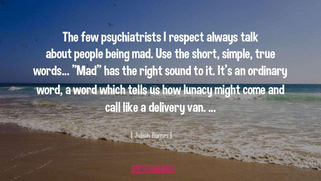 Lunacy quotes by Julian Barnes