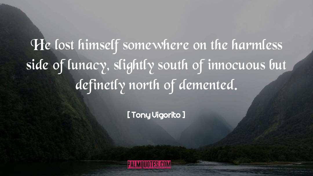 Lunacy quotes by Tony Vigorito