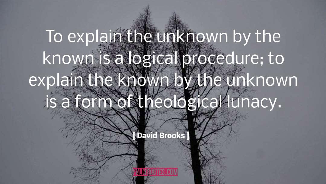 Lunacy quotes by David Brooks