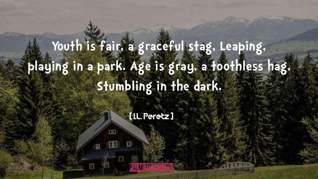 Lunar Park quotes by I.L. Peretz