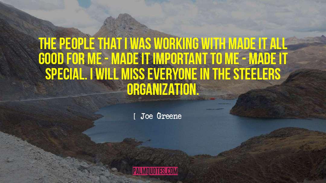 Lunatic Joe quotes by Joe Greene