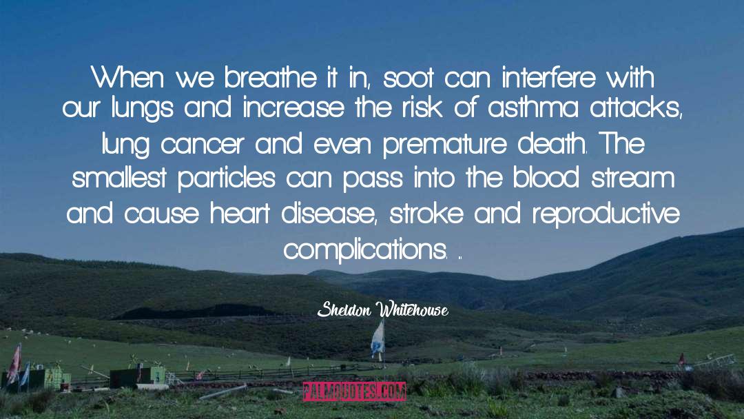 Lung Cancer quotes by Sheldon Whitehouse