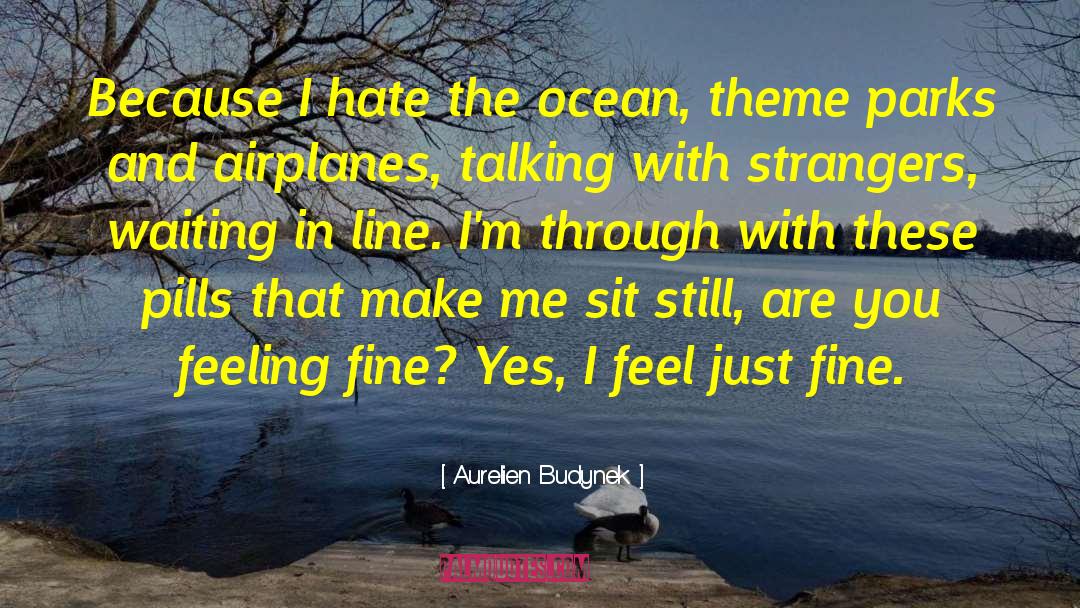 Luperon Ocean quotes by Aurelien Budynek