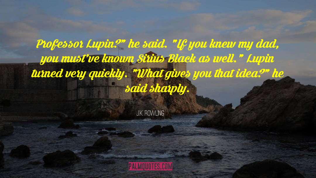 Lupin quotes by J.K. Rowling