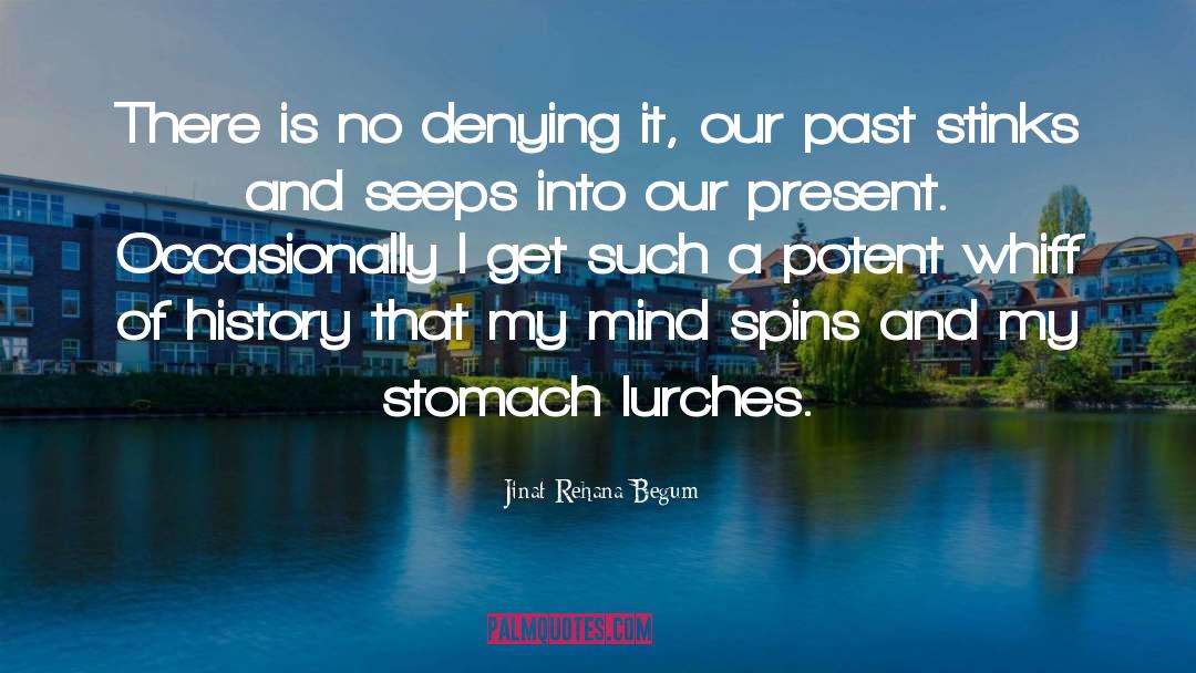 Lurches quotes by Jinat Rehana Begum
