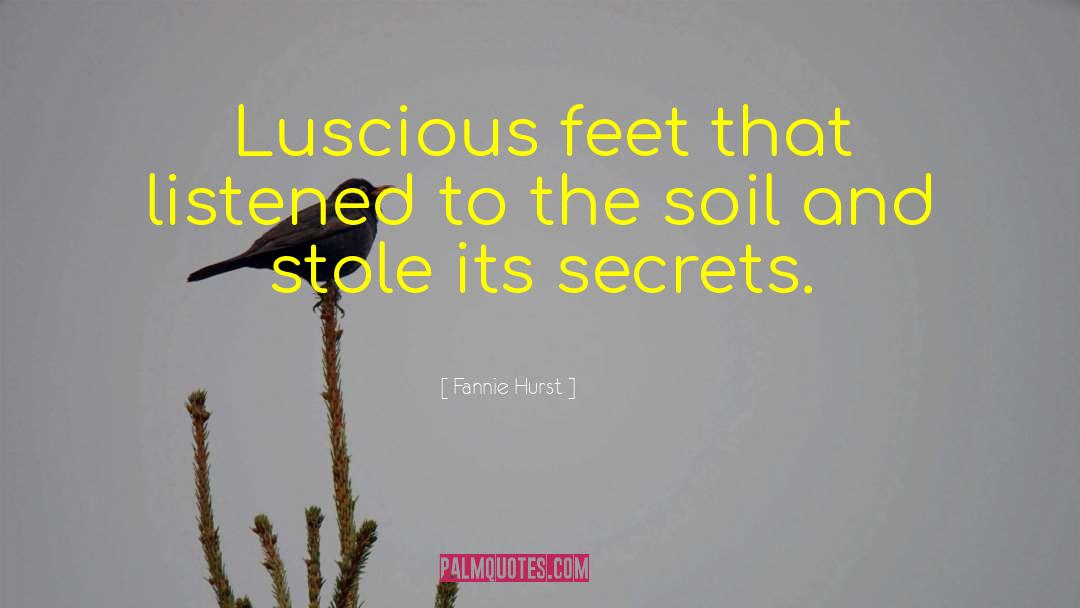 Luscious quotes by Fannie Hurst