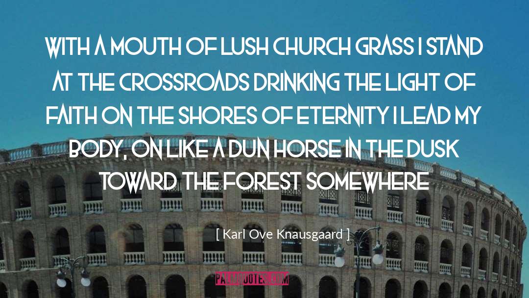 Lush quotes by Karl Ove Knausgaard