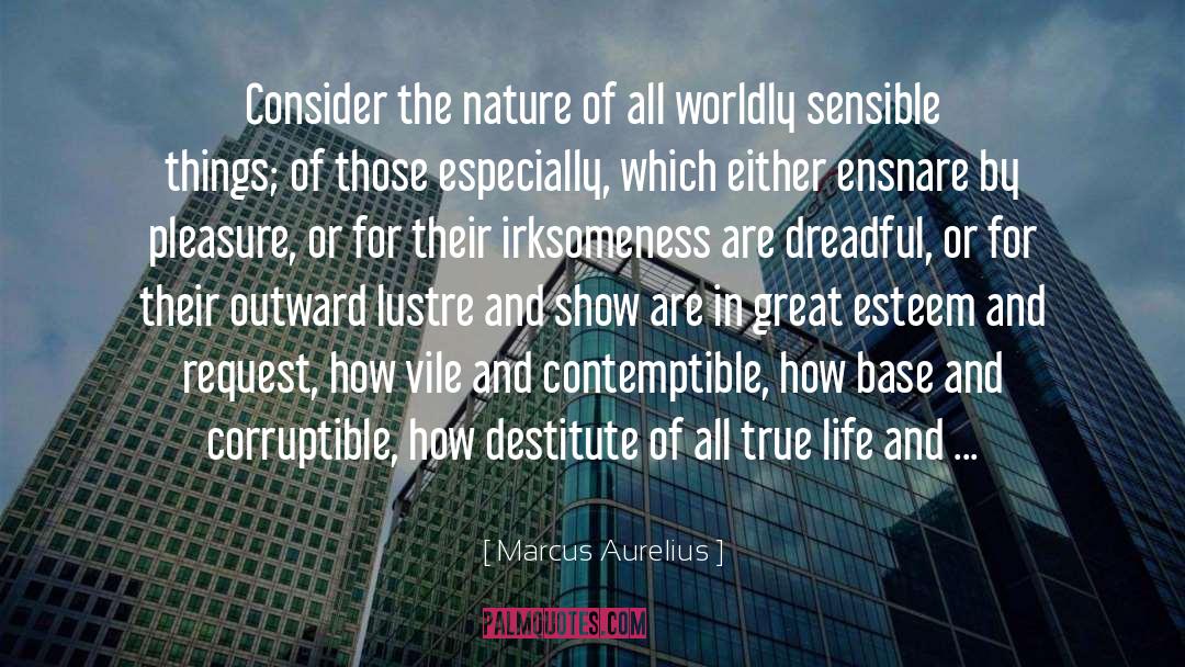 Lustre quotes by Marcus Aurelius