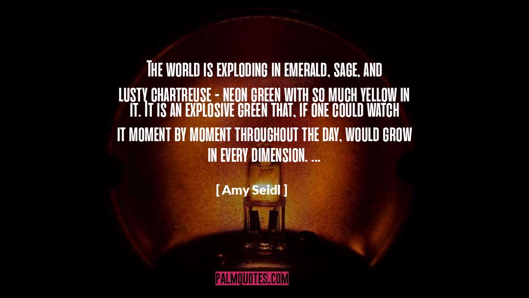 Lusty quotes by Amy Seidl