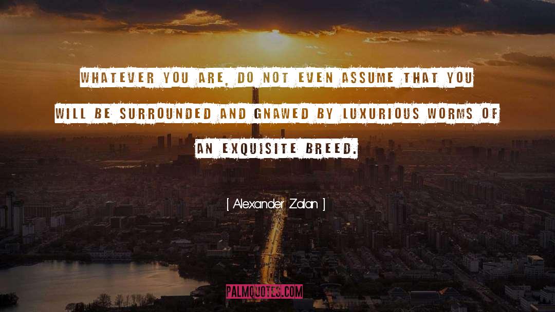 Luxurious quotes by Alexander Zalan