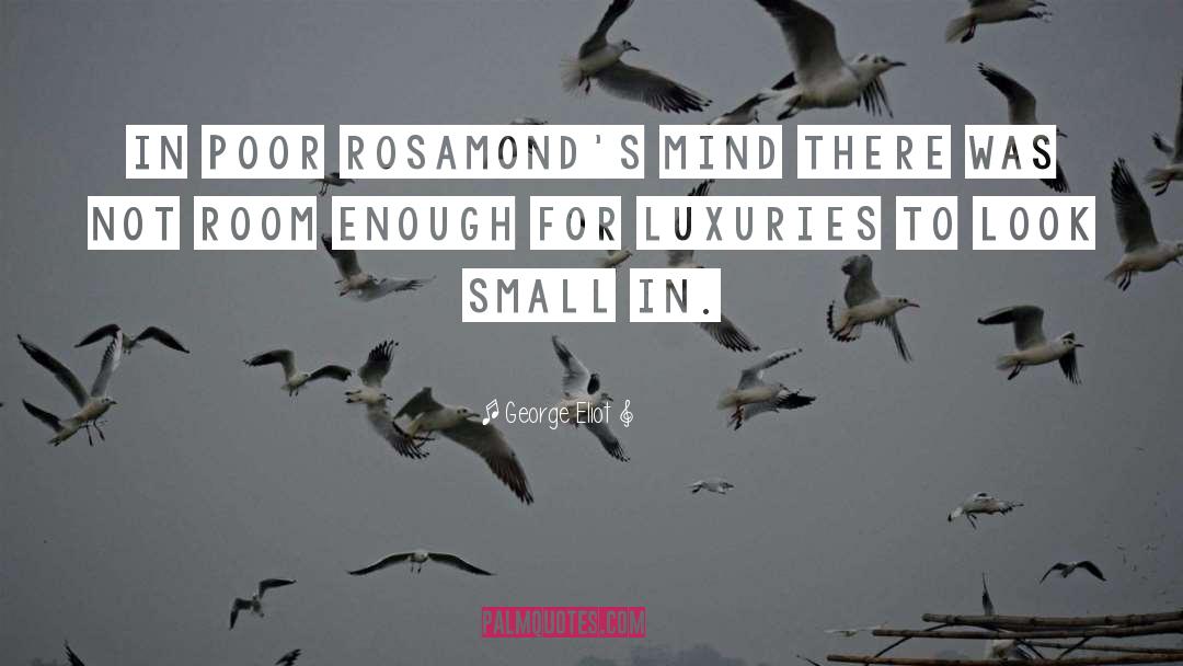Luxury Goods quotes by George Eliot