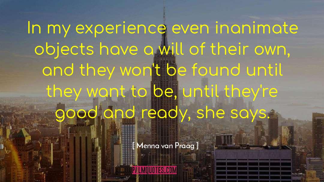 Luxury Items quotes by Menna Van Praag