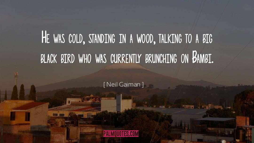 Luzolo Bambi quotes by Neil Gaiman
