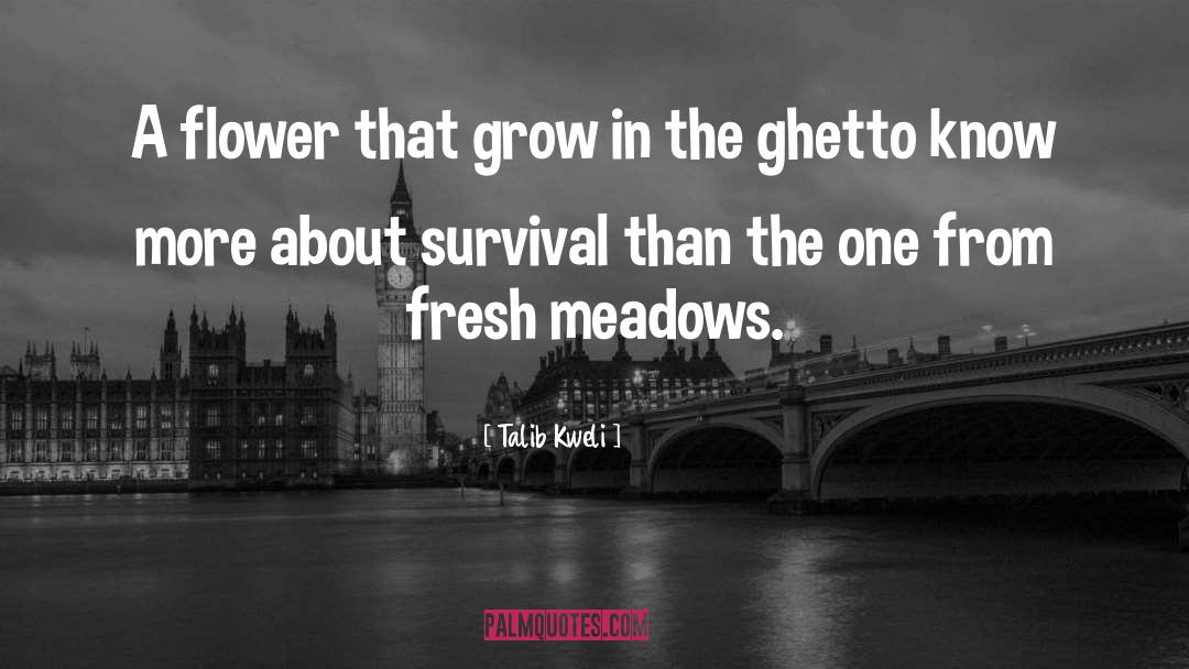 Lvov Ghetto quotes by Talib Kweli