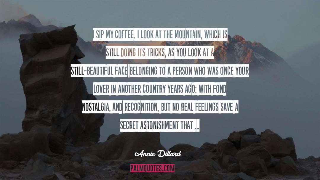 Lying To Save Face quotes by Annie Dillard