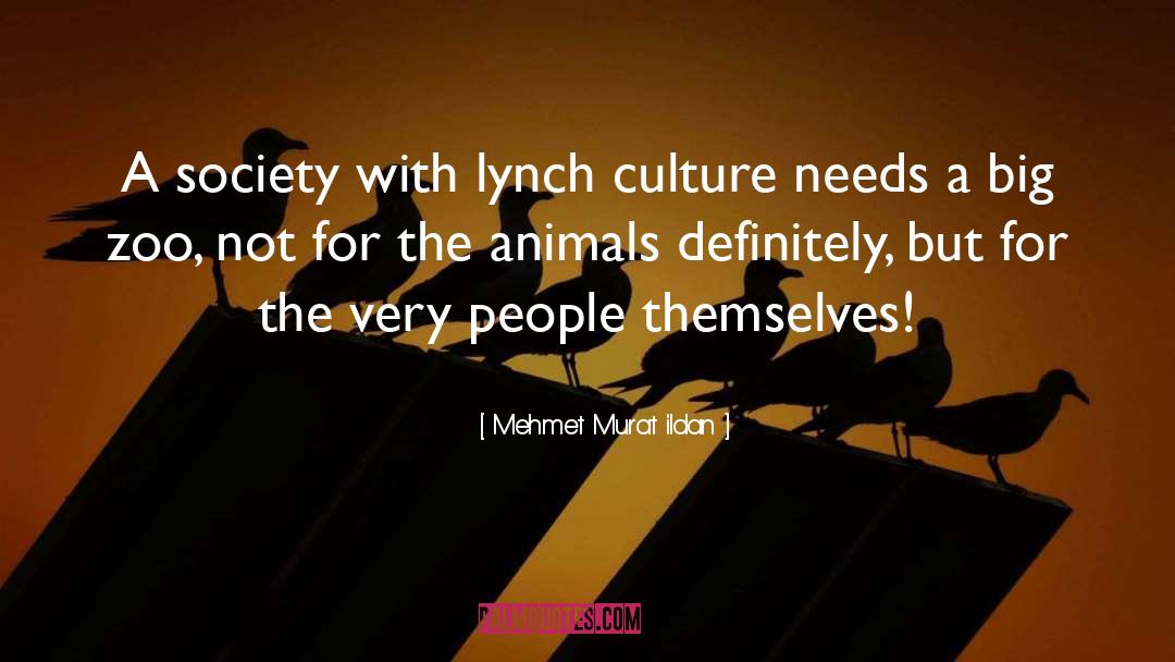 Lynching quotes by Mehmet Murat Ildan
