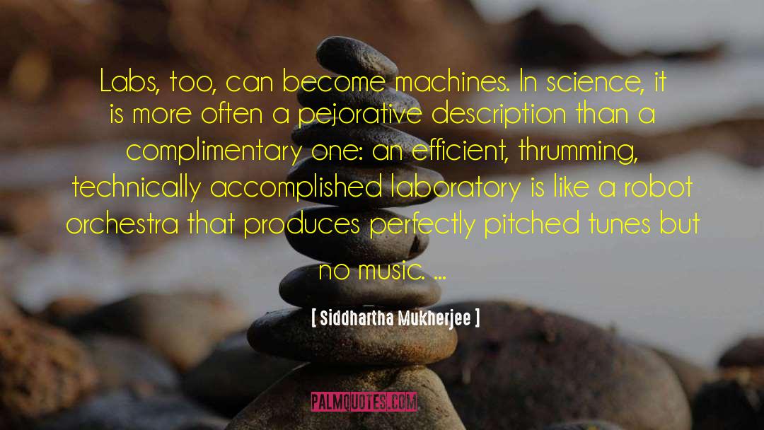 Lyric Description quotes by Siddhartha Mukherjee