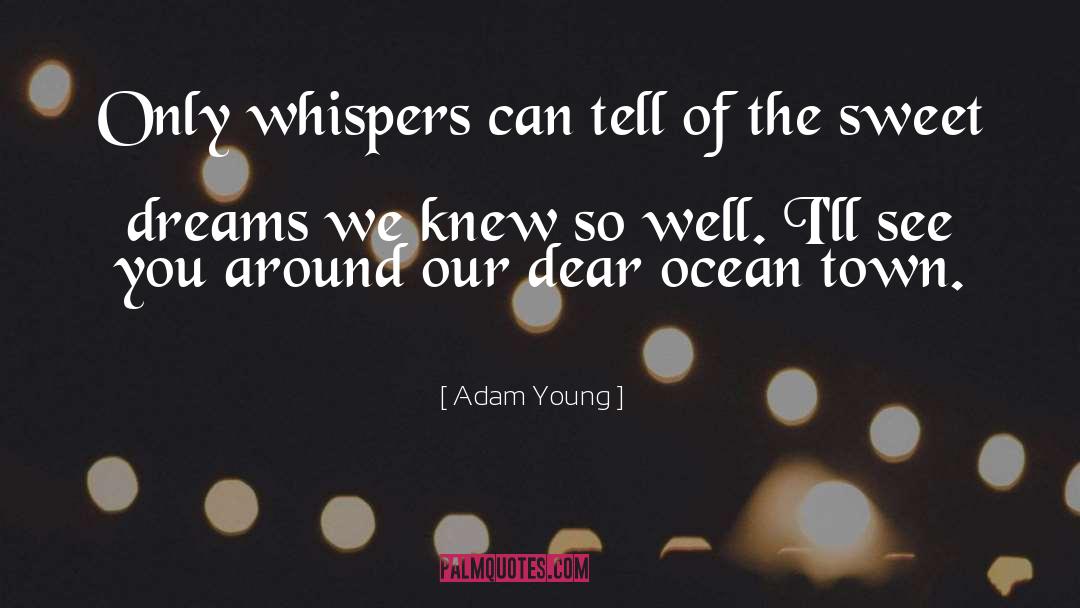 Lyrics quotes by Adam Young