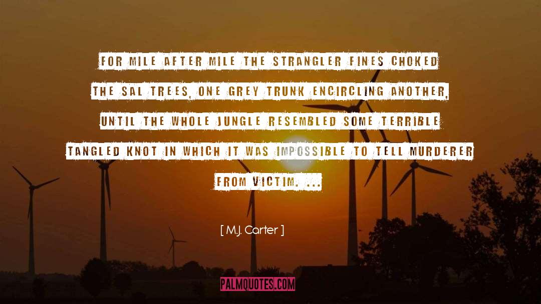 M J quotes by M.J. Carter