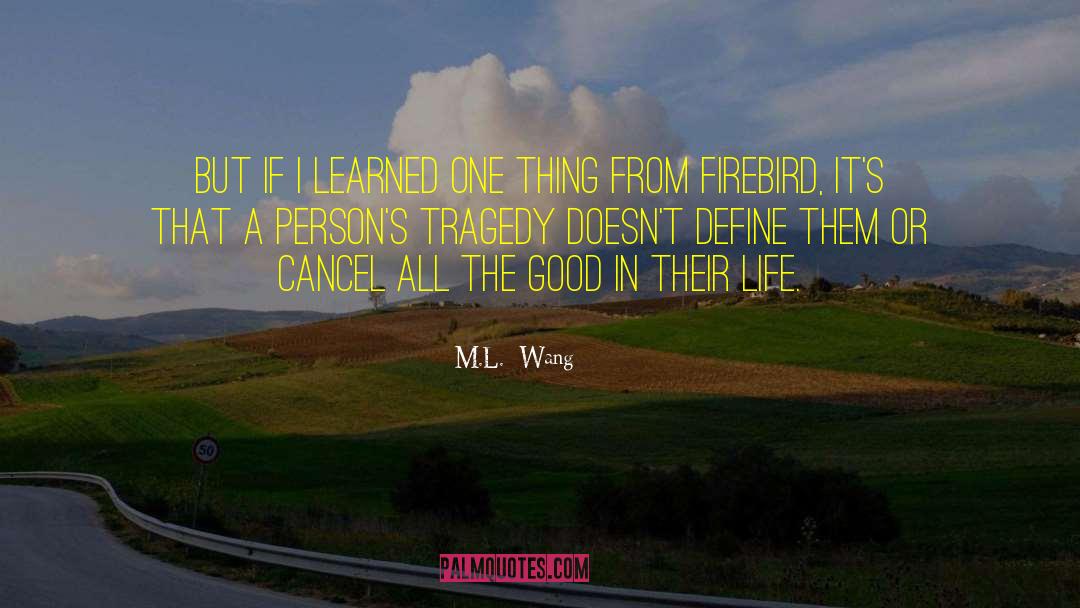 M L Chesley quotes by M.L.  Wang