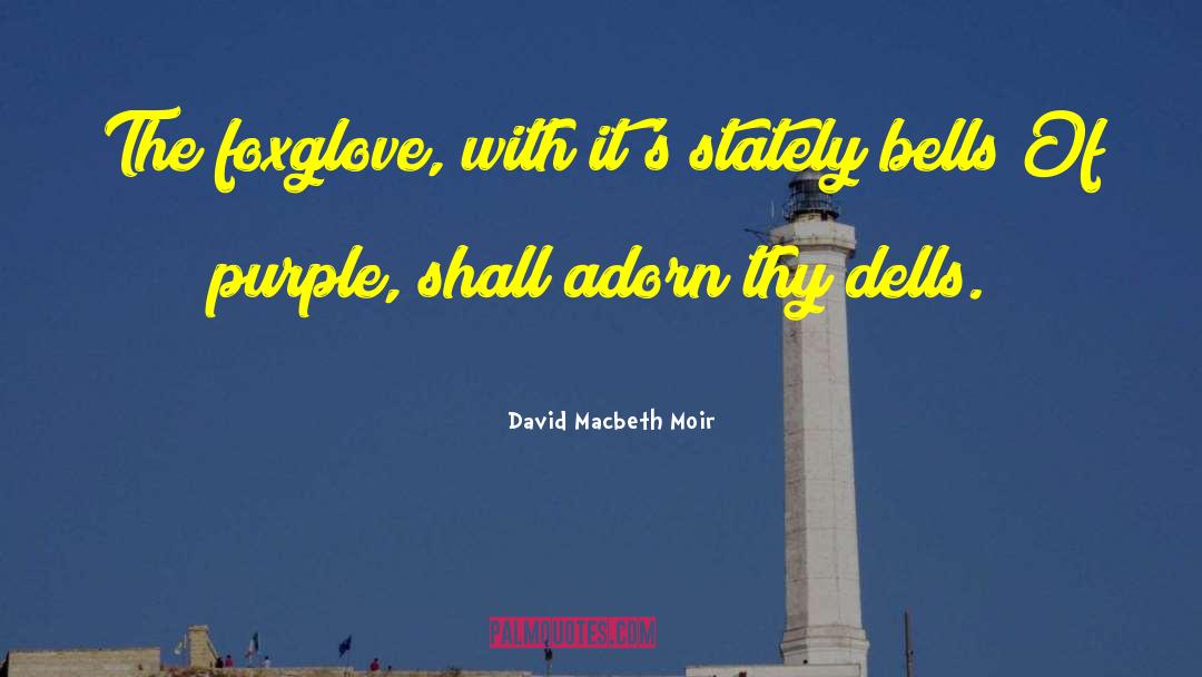 Macbeth Foil quotes by David Macbeth Moir