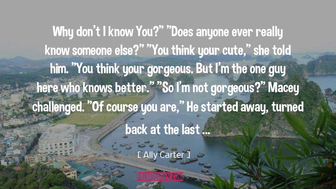 Macey quotes by Ally Carter