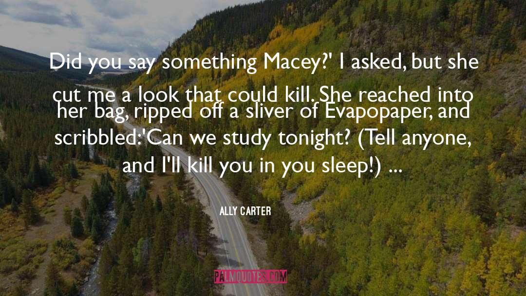 Macey quotes by Ally Carter