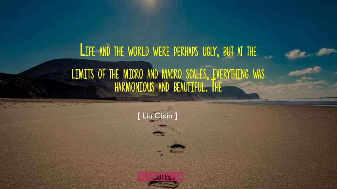 Macro quotes by Liu Cixin