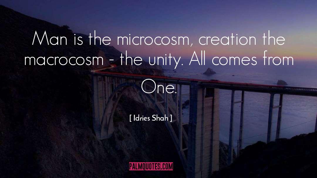 Macrocosm quotes by Idries Shah