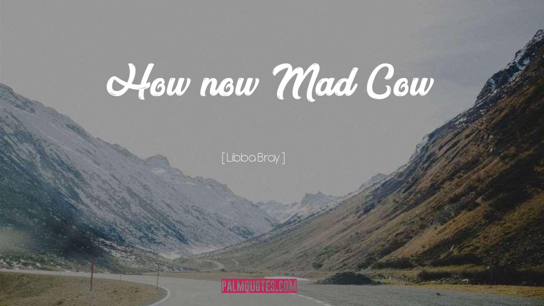 Mad Cow quotes by Libba Bray