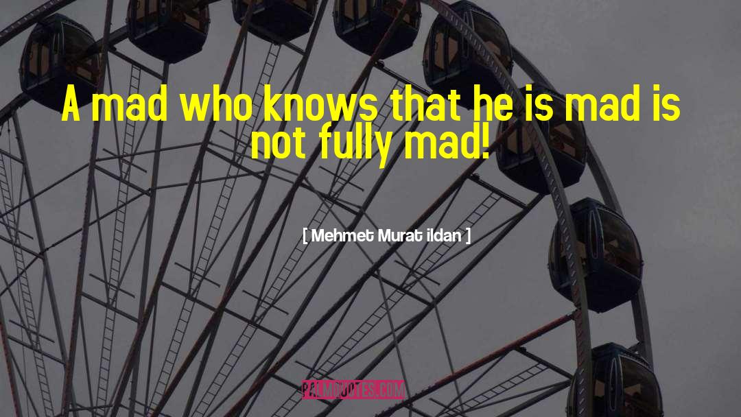 Mad Hatter Birthday quotes by Mehmet Murat Ildan