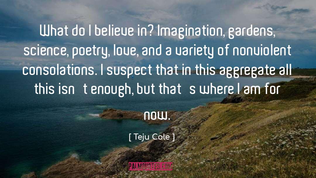 Mad In Love quotes by Teju Cole