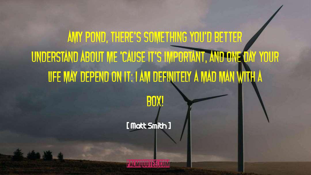 Mad Man Quote quotes by Matt Smith