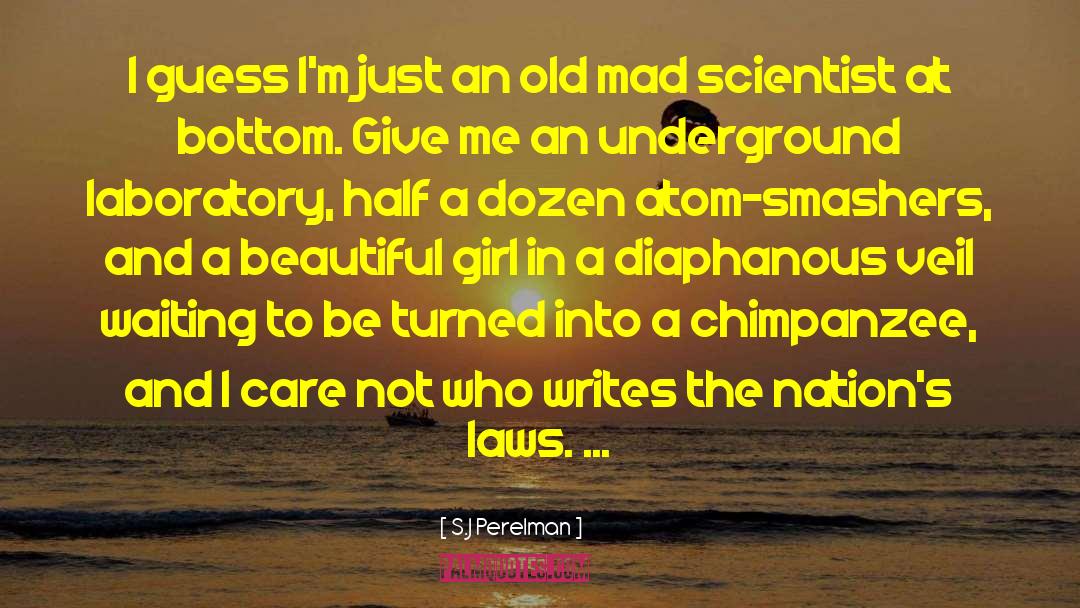 Mad Scientist quotes by S.J Perelman