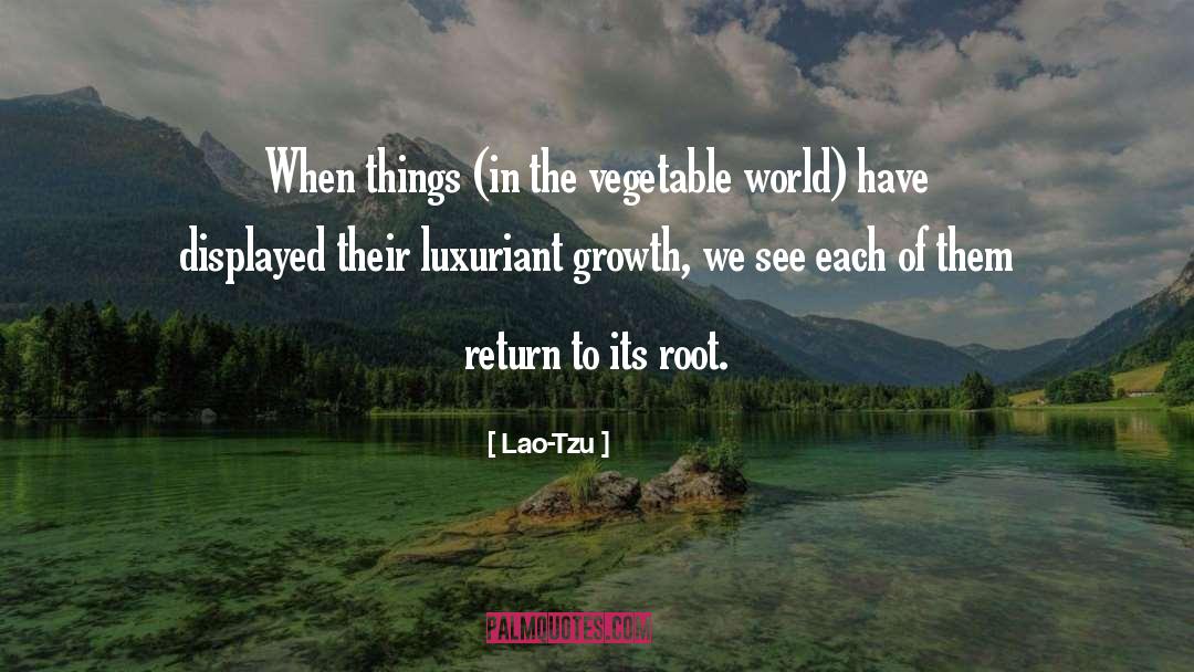 Mad World quotes by Lao-Tzu