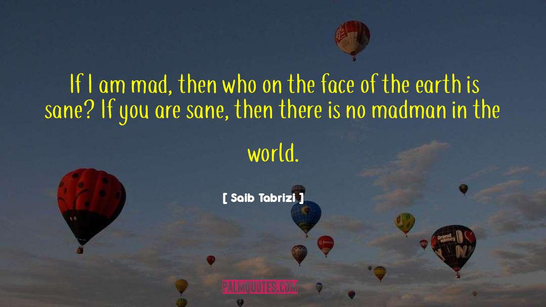 Mad World quotes by Saib Tabrizi
