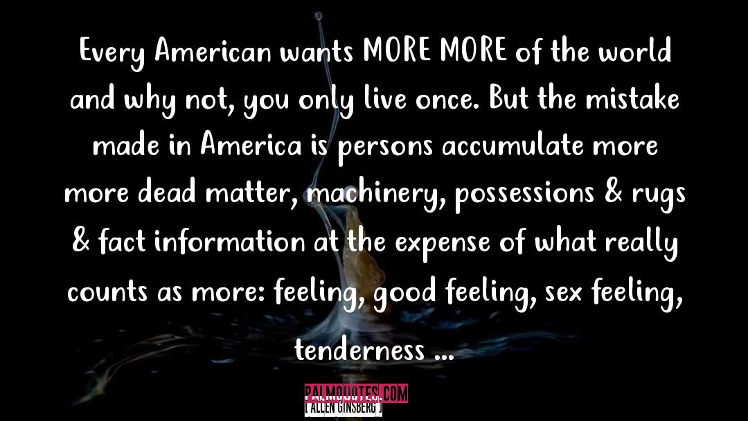 Made In America quotes by Allen Ginsberg