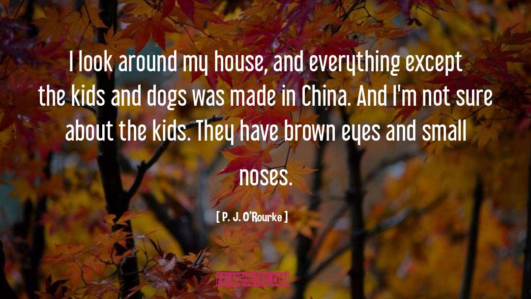 Made In China quotes by P. J. O'Rourke