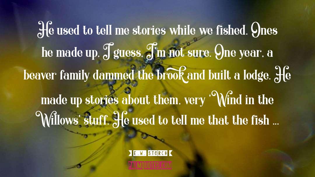 Made Up Stories quotes by E.W. Storch