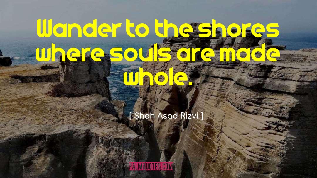 Made Whole quotes by Shah Asad Rizvi