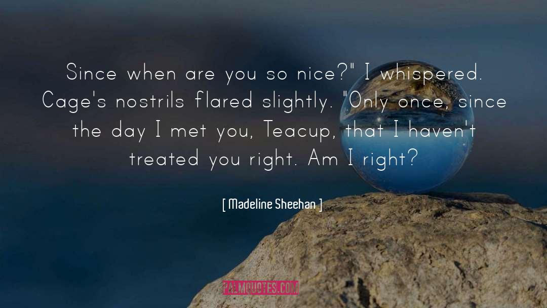 Madeline Sheehan quotes by Madeline Sheehan