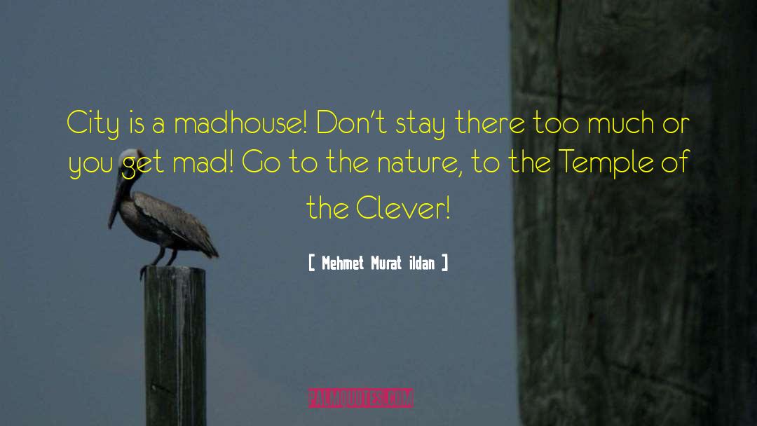 Madhouse quotes by Mehmet Murat Ildan