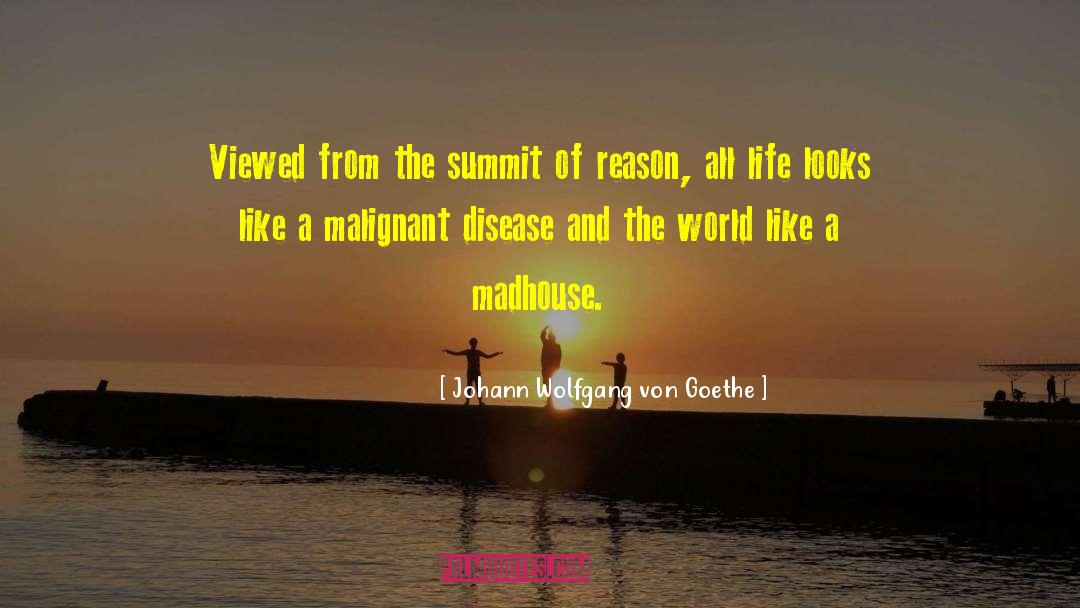 Madhouses quotes by Johann Wolfgang Von Goethe