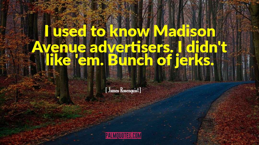 Madison Knight quotes by James Rosenquist