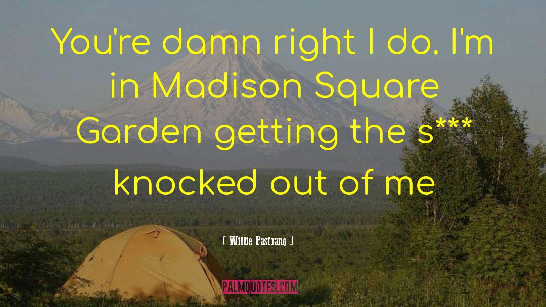 Madison Square Garden quotes by Willie Pastrano