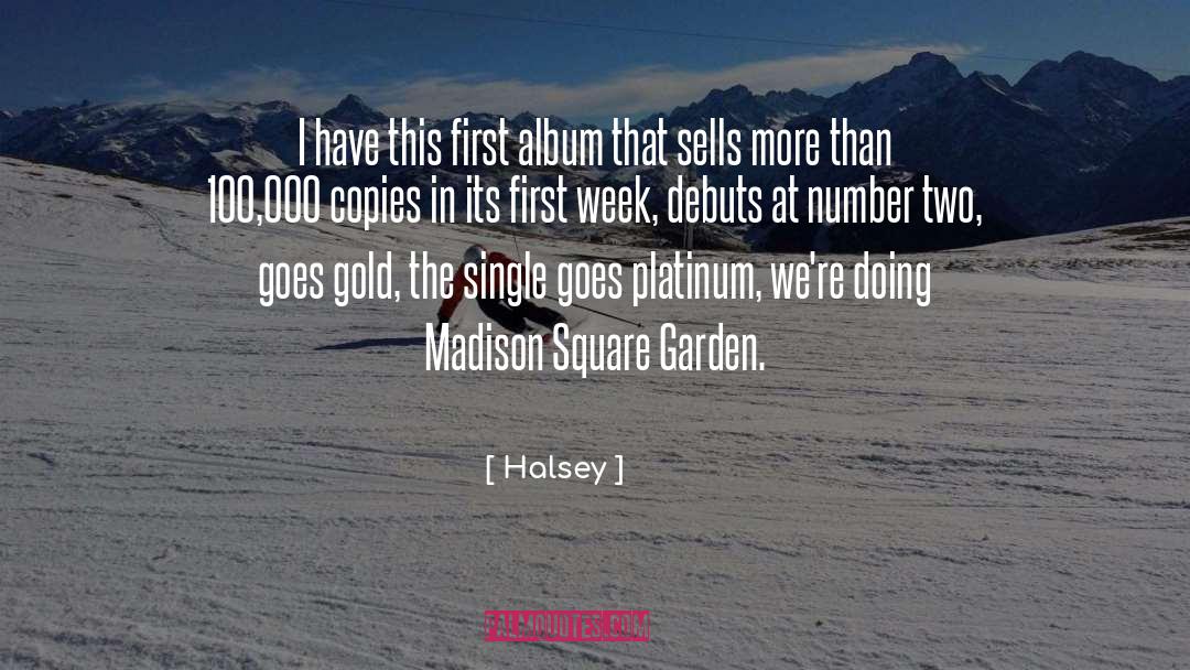 Madison Square Garden quotes by Halsey