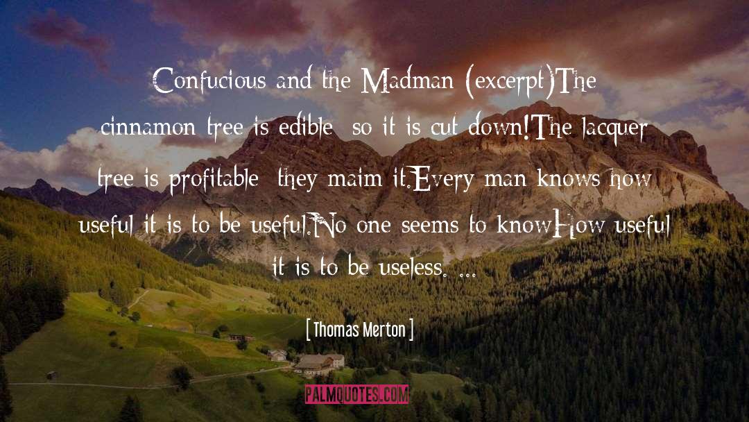 Madman quotes by Thomas Merton