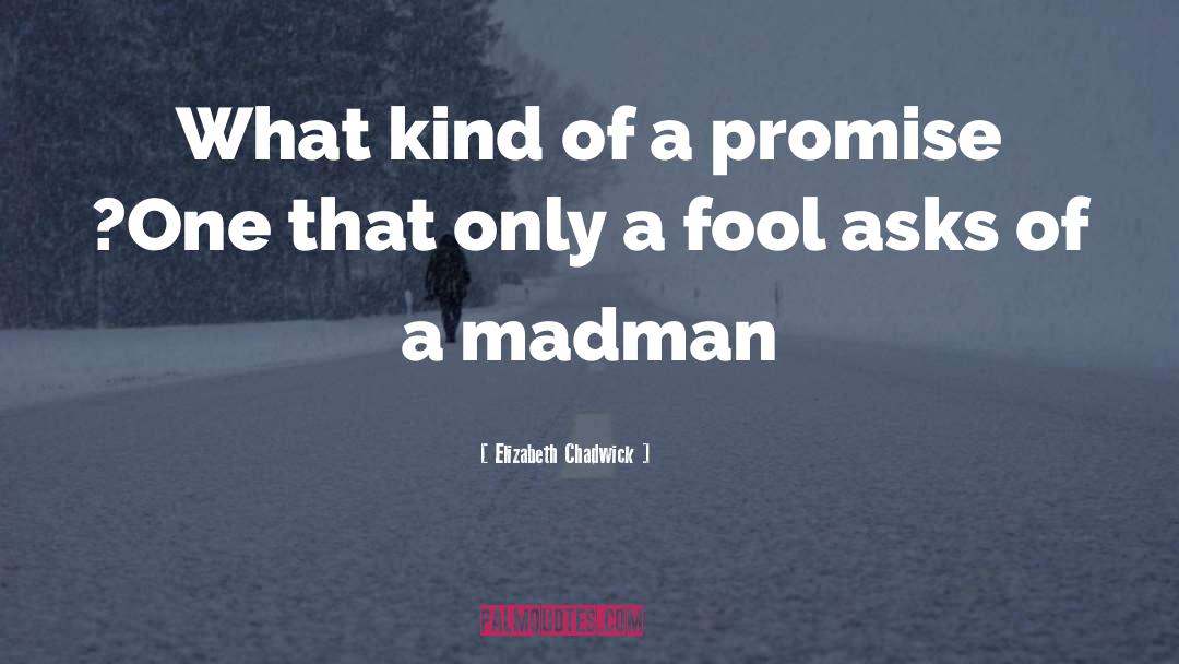 Madman quotes by Elizabeth Chadwick