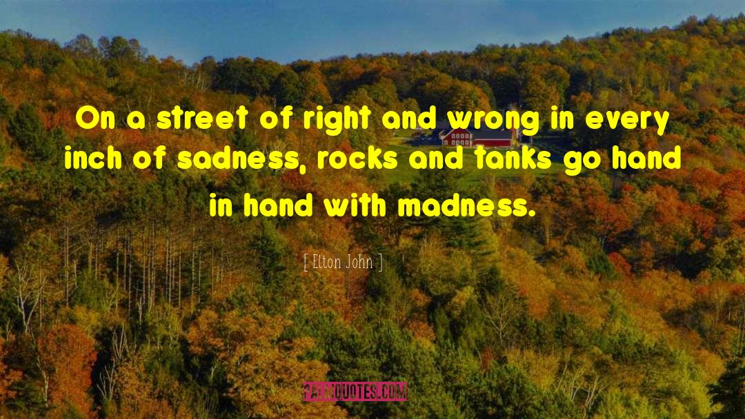 Madness And Civilization quotes by Elton John